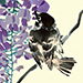 Picture Book Galleries